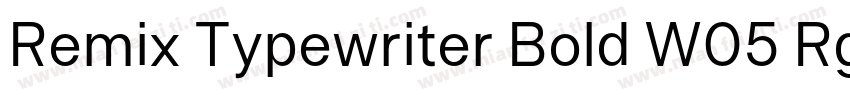 Remix Typewriter Bold W05 Rg字体转换